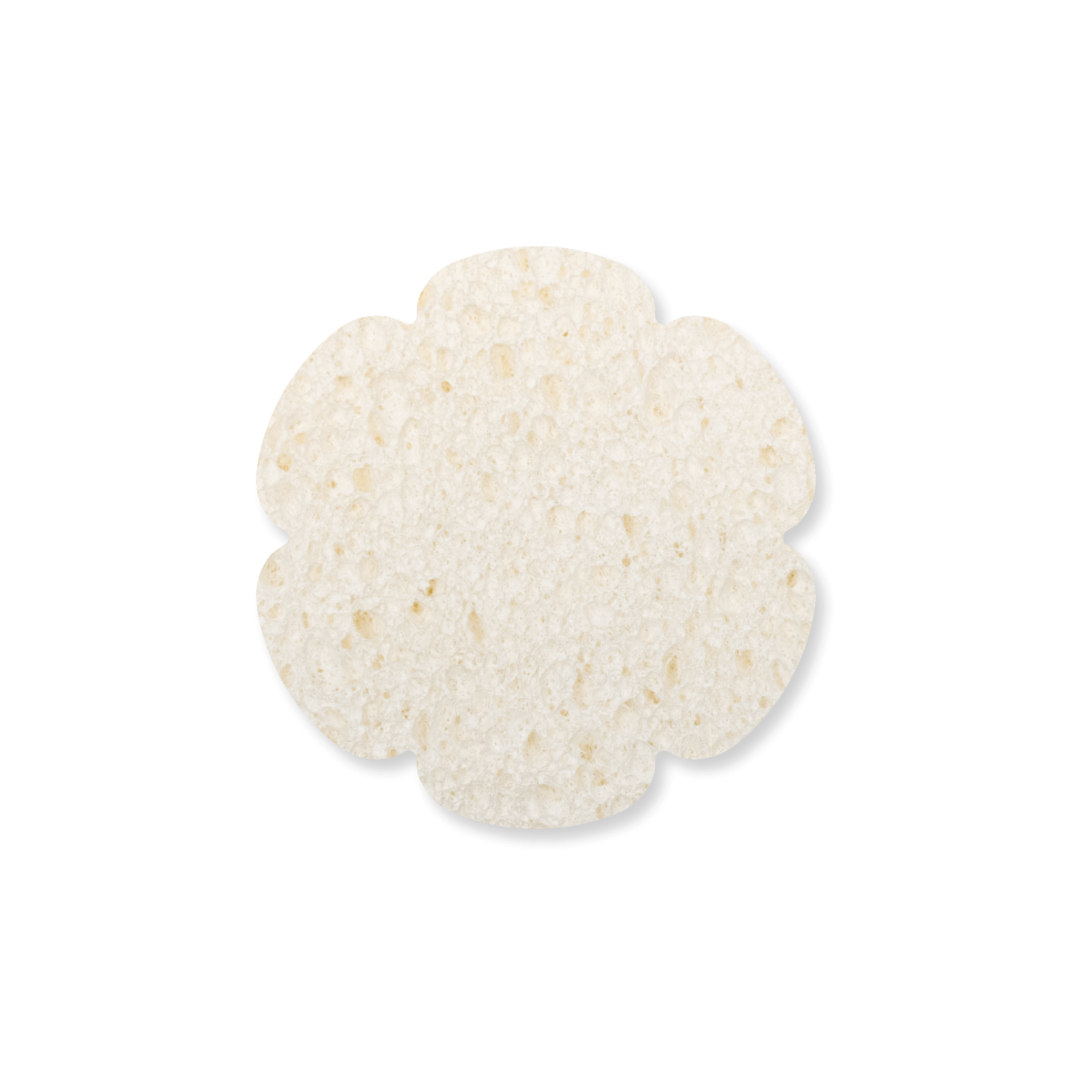 Expand-It Sponge - Flower 2